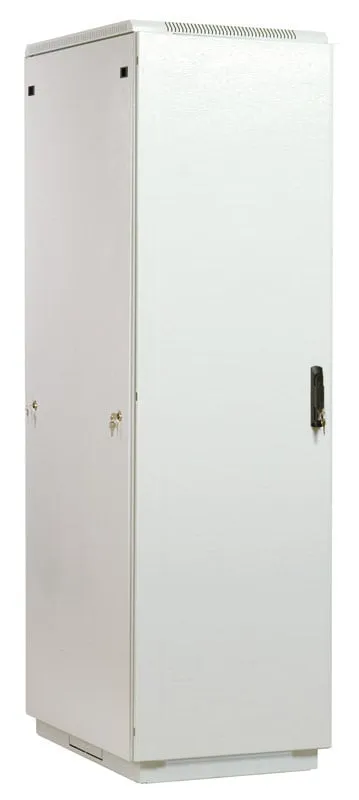 Шкаф серверный ЦМО ШТК-М-42.6.10-3ААА, напольный, 42U, 600×1000мм, 1010кг, серый
