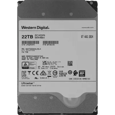 Жёсткий диск Western Digital Ultrastar DC HC570 WUH722222ALE6L4, 22TB, SATA, 7200rpm