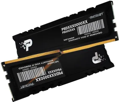 Память Patriot PSP532G5600KH1, DDR5, 2×16ГБ, 5600МГц
