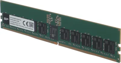 Память Silicon Power SP032GBRVE56AF02, DDR5, 32 ГБ, DIMM ECC Reg, 5600 МГц