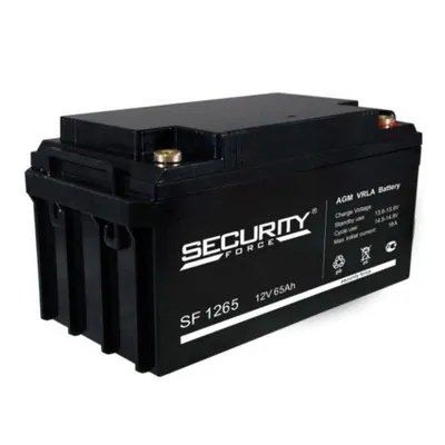 Аккумуляторная батарея Delta (Security Force SF) SF 1265 12В/65Ач, клемма Болт М6 (350х166х177мм (177мм); кг; Срок служб