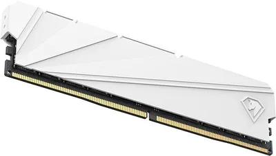 Оперативная память Netac NTSSD4P32SP-16W, DDR4, 16ГБ, 3200МГц, CL16